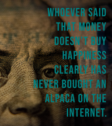 TDC Ecommerce page image showing a close up of the dollar bill with the text saying whoever says money cant buy happiness has not bought an alpaca on the internet