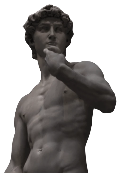 statue of david g2 compressed 2